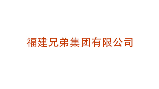 福建兄弟集團(tuán)有限公司集團(tuán)化管控體系設(shè)計(jì)